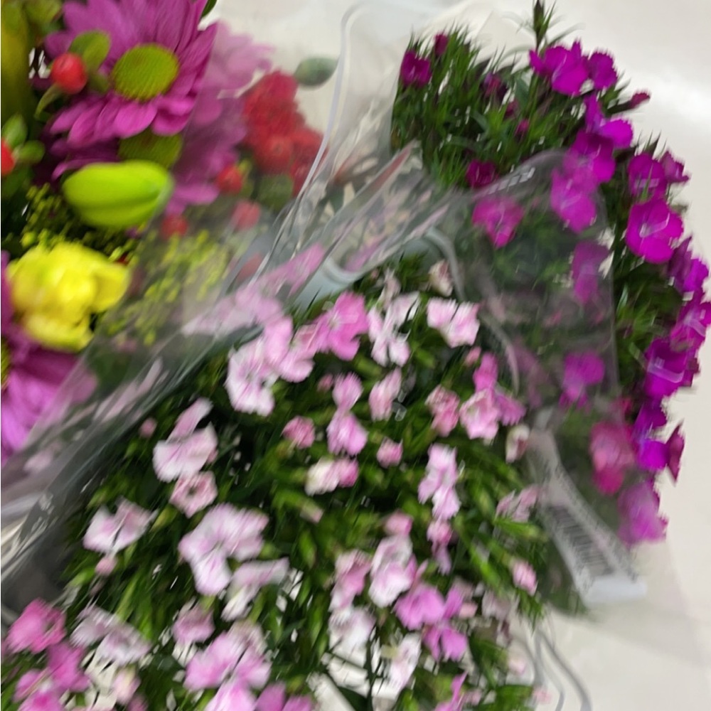 Meet your Posher, Kaitlyn